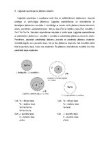 Eseja 'Mana dzīve no loģikas viedokļa', 3.