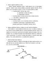 Eseja 'Mana dzīve no loģikas viedokļa', 4.