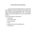 Konspekts 'Ozons', 5.