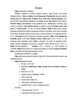 Referāts 'Viduseiropas valstis', 3.