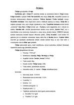 Referāts 'Viduseiropas valstis', 5.