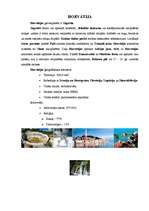 Referāts 'Viduseiropas valstis', 11.