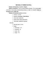 Referāts 'Viduseiropas valstis', 15.