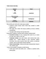 Konspekts 'Skaņas izrunas traucējumi', 2.