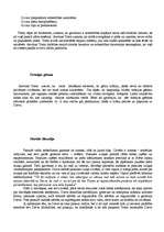 Referāts 'Akvīnas Toma dzīves gaitas un sholastikas jēdzieni', 5.