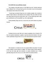 Referāts '20.gadsimta cirka trupu grafiskās identitātes paraugi', 5.