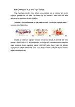 Referāts '20.gadsimta cirka trupu grafiskās identitātes paraugi', 7.