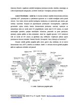 Prakses atskaite 'Prakses atskaite', 8.