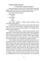 Prakses atskaite 'Prakses atskaite', 12.