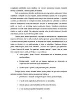 Prakses atskaite 'Prakses atskaite', 18.