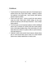 Prakses atskaite 'Prakses atskaite', 31.