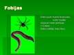 Prezentācija 'Fobijas', 1.