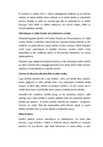 Eseja 'Tēlu analīze Annas Brigaderes pasaku lugā ‘Sprīdītis’: raksturu atklāsme un morā', 2.