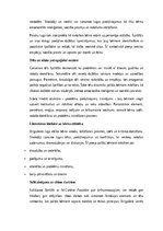 Eseja 'Tēlu analīze Annas Brigaderes pasaku lugā ‘Sprīdītis’: raksturu atklāsme un morā', 4.