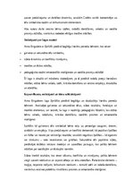 Eseja 'Tēlu analīze Annas Brigaderes pasaku lugā ‘Sprīdītis’: raksturu atklāsme un morā', 5.