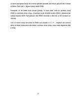 Referāts 'Operatīvā atmiņa', 13.