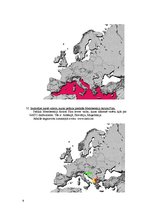 Konspekts 'Atbildes par NATO', 9.