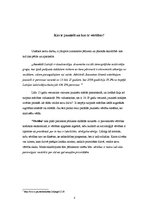 Referāts 'Jauniešu vērtības Latvijā', 3.