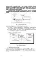 Referāts 'Valsts ekoloģiskā politika', 12.