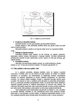 Referāts 'Valsts ekoloģiskā politika', 13.