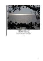 Referāts 'Kultūrvide skolā', 14.