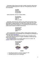 Referāts 'Kultūrvide skolā', 18.