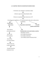 Referāts 'Vitālo rādītāju monitorēšanas vadlīnija', 9.