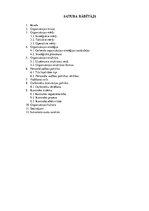 Referāts 'Personāla vadība uzņēmumā', 3.