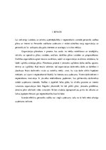 Referāts 'Personāla vadība uzņēmumā', 4.