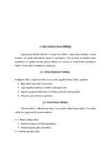 Referāts 'Personāla vadība uzņēmumā', 6.