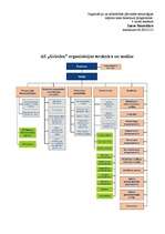 Konspekts 'Organizācijas struktūra', 1.