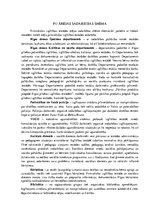 Konspekts 'Iekšējas un ārējas sadarbības struktūrshēmas', 2.