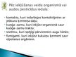 Prezentācija 'Pesticīdu un minerālmēslu izmantošana lauksaimniecībā', 10.