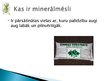 Prezentācija 'Pesticīdu un minerālmēslu izmantošana lauksaimniecībā', 14.
