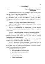 Diplomdarbs 'Būvniecības uzņēmuma attīstības projekts', 8.