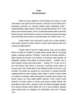 Eseja 'Cilvēks kultūrā', 1.