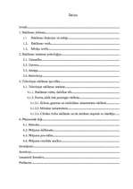 Referāts 'Reklāmas psiholoģija televīzijā', 2.