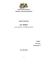 Referāts 'SIA "Sakret" sauso maisījumu un būvķīmijas rūpnīca', 1.