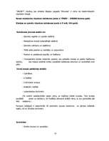 Referāts 'SIA "Sakret" sauso maisījumu un būvķīmijas rūpnīca', 10.