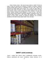 Referāts 'SIA "Sakret" sauso maisījumu un būvķīmijas rūpnīca', 14.