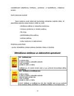 Referāts 'SIA "Sakret" sauso maisījumu un būvķīmijas rūpnīca', 15.