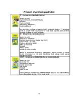 Referāts 'SIA "Sakret" sauso maisījumu un būvķīmijas rūpnīca', 19.