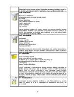 Referāts 'SIA "Sakret" sauso maisījumu un būvķīmijas rūpnīca', 24.