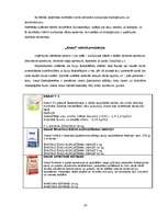 Referāts 'SIA "Sakret" sauso maisījumu un būvķīmijas rūpnīca', 29.