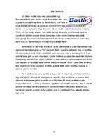 Referāts 'SIA "Sakret" sauso maisījumu un būvķīmijas rūpnīca', 31.