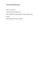 Referāts 'Apmaiņas programmas', 22.