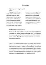 Referāts 'Apmaiņas programmas', 25.