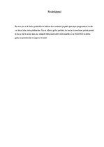 Referāts 'Apmaiņas programmas', 32.