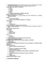 Konspekts 'Lietvedība', 7.