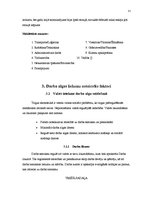 Referāts 'Darba algas lielumu noteicošie faktori', 11.